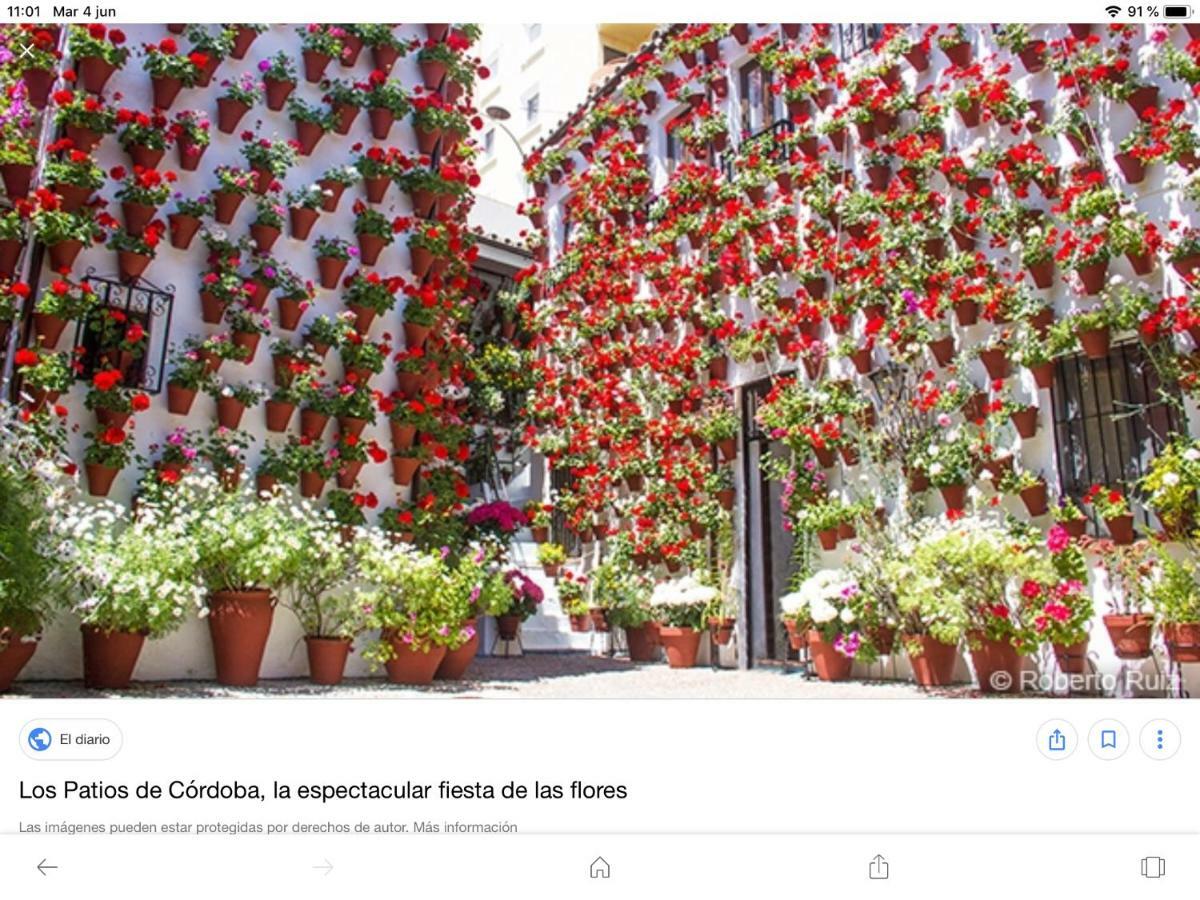 코르도바 Vft Flor De Naranjo 아파트 외부 사진